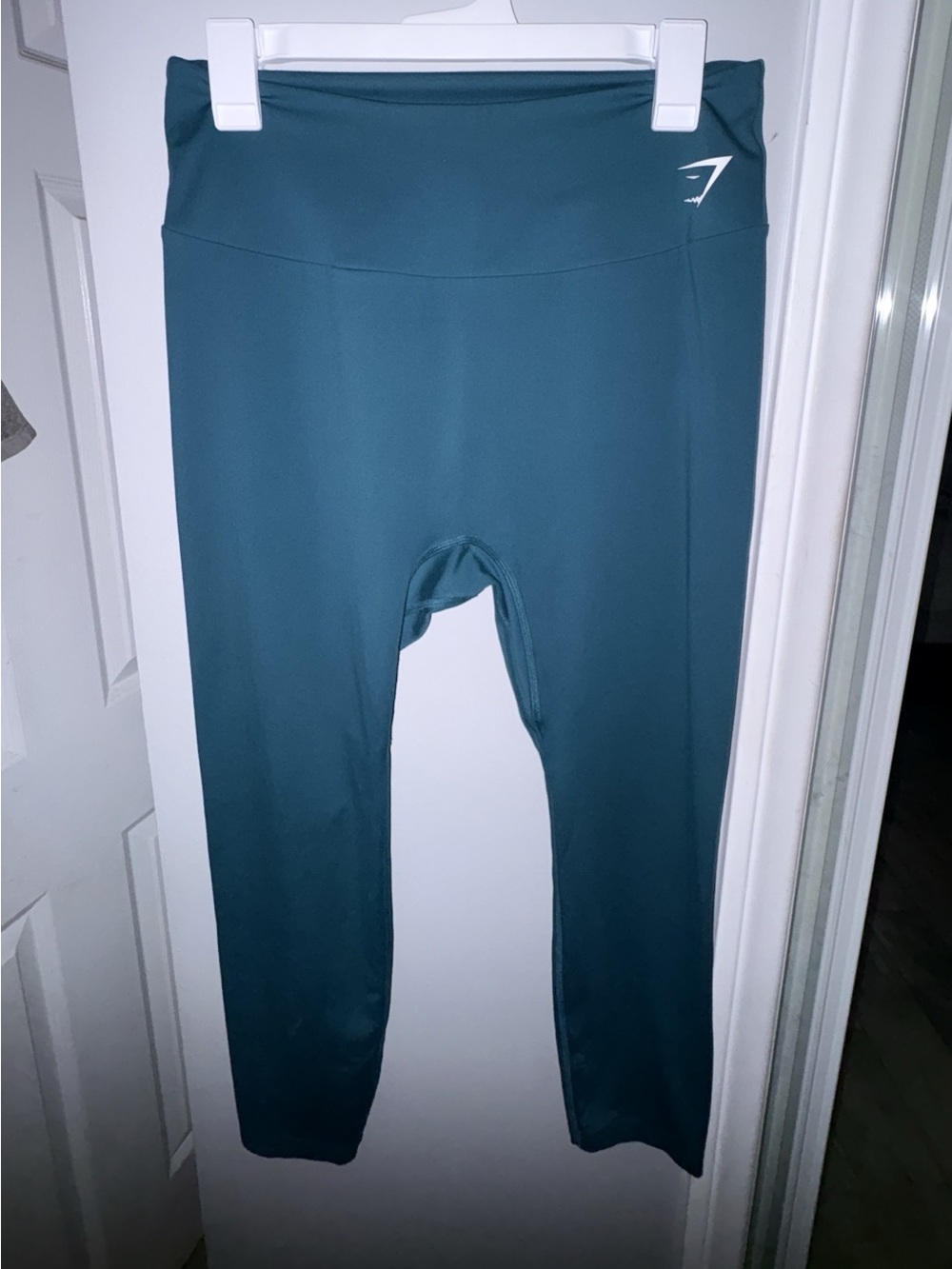 Gymshark Dark Teal Performance Leggings